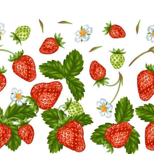 Strawberries with green leaves and flower pattern seamless vector 03