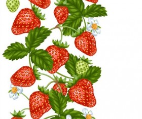 Strawberries with white flower seamless border vector 01
