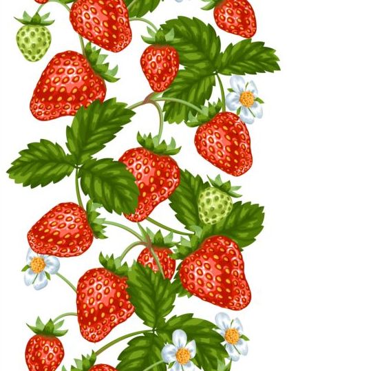 Strawberries with white flower seamless border vector 01