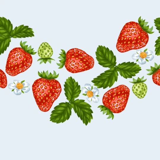 Strawberries with white flower seamless border vector 02