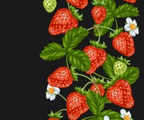Strawberries with white flower seamless border vector 03