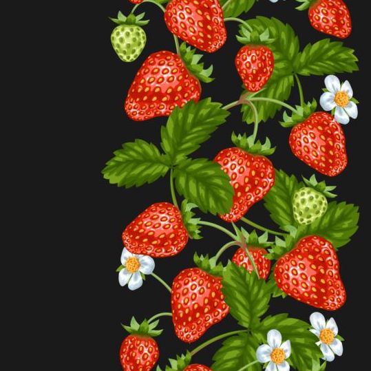 Strawberries with white flower seamless border vector 03