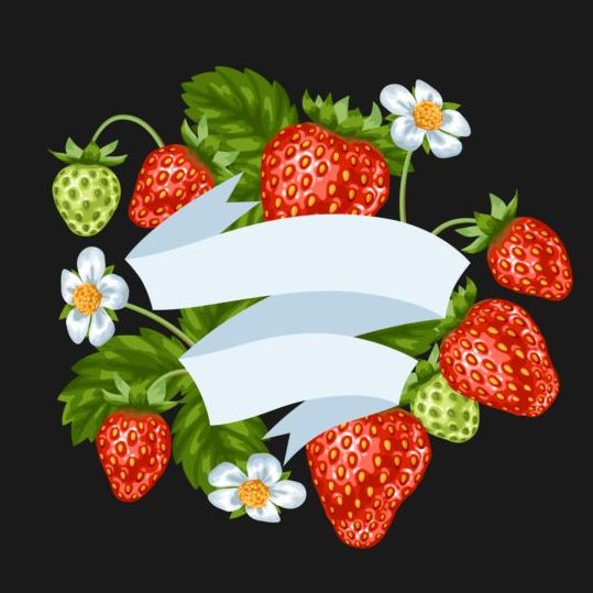 Strawberries with white ribbon vector