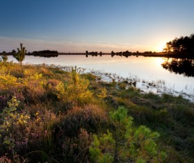 Sunset under the lake background Stock Photo