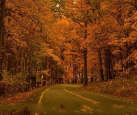 The corner of the Shenandoah National Park