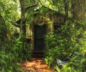 The small house is surrounded by lush vegetation Stock Photo