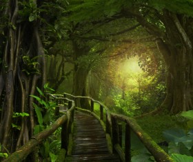 The sun through the trees and paths