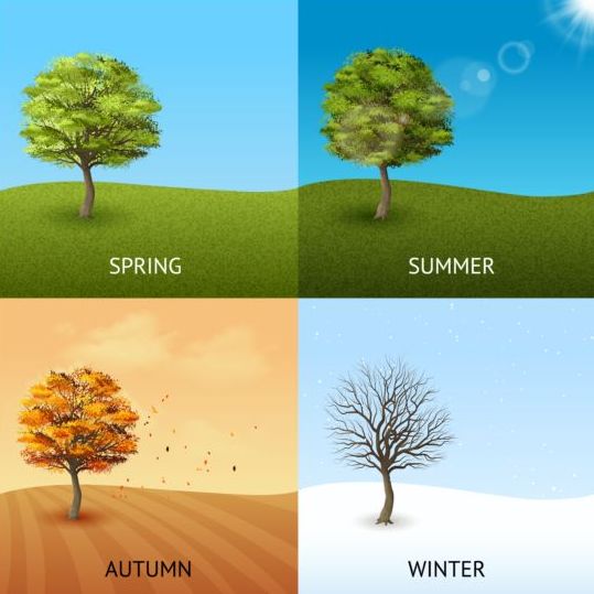 Tree with four seasons vector material 01