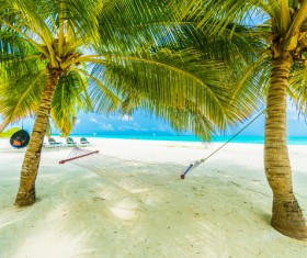 White beach with coconut trees and hammocks