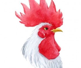 White rooster head vector