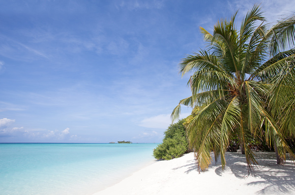 White sand beaches and coconut trees and distant islands