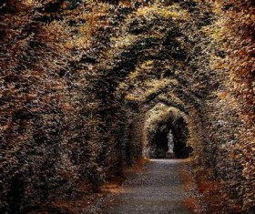 Wisteria flower stands with distant statues Stock Photo