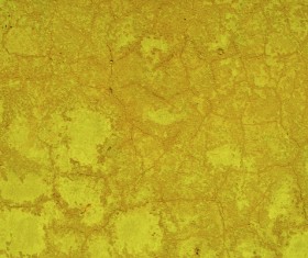 Yellow crack texture on the wall Stock Photo