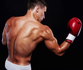Young boxer's shadow back muscles Stock Photo