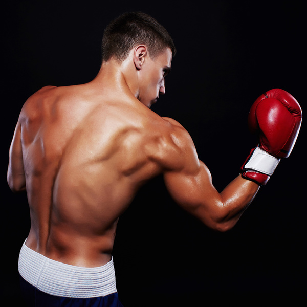 Young boxer's shadow back muscles Stock Photo