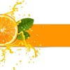 Fresh orange with juice background vector 01 free download