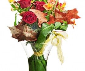 A red rose in a vase Stock Photo