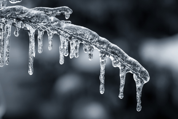 An icicle hanging from a branch Stock Photo 01