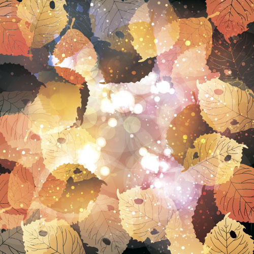 Autumn leaves with bokeh shiny background vector 02
