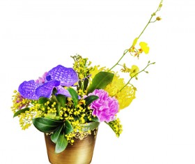 Beautiful Colorful flowers Stock Photo 01