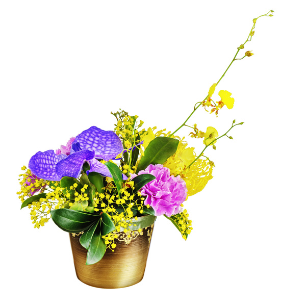 Beautiful Colorful flowers Stock Photo 01