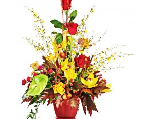 Beautiful Colorful flowers Stock Photo 03