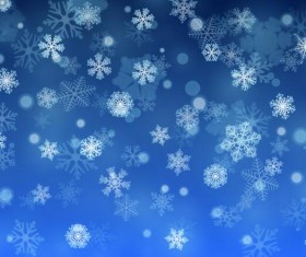 Beautiful snowflake with blue background vector 05