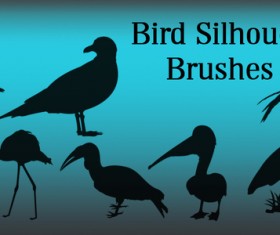 Bird Silhouette photoshop brushes