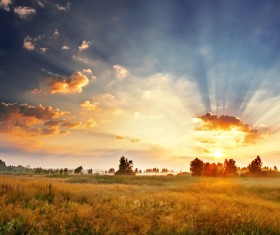 Chaoyang under the African grasslands HD picture