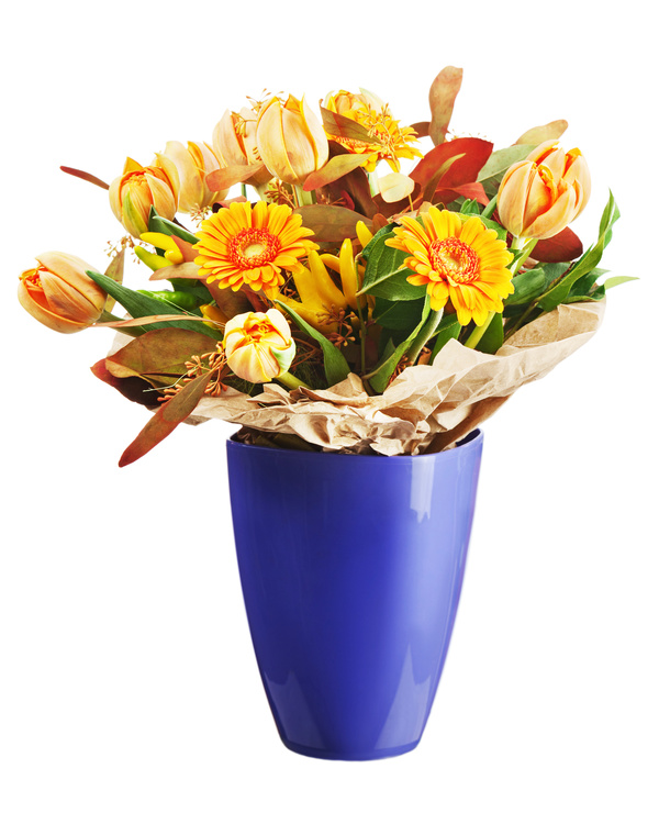 Chrysanthemum on a vase Stock Photo