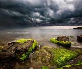 Dark clouds of reef green beach creatures Stock Photo