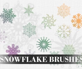 Different snowflake photoshop brushes