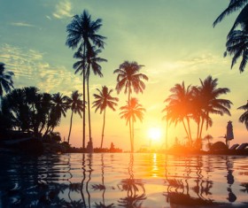Fantastic sunset with palm trees Stock Photo 01
