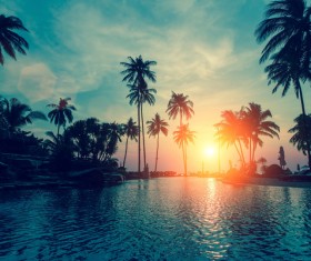 Fantastic sunset with palm trees Stock Photo 02