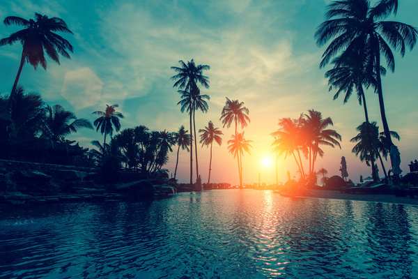 Fantastic sunset with palm trees Stock Photo 02
