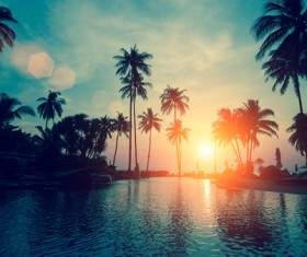Fantastic sunset with palm trees Stock Photo 03