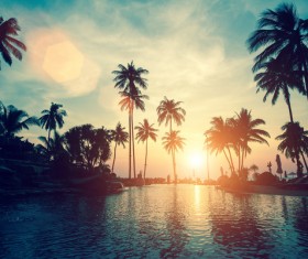 Fantastic sunset with palm trees Stock Photo 04