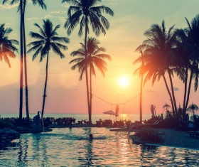 Fantastic sunset with palm trees and resort Stock Photo