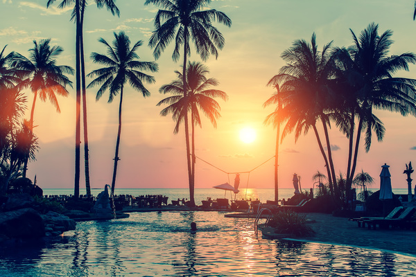Fantastic sunset with palm trees and resort Stock Photo