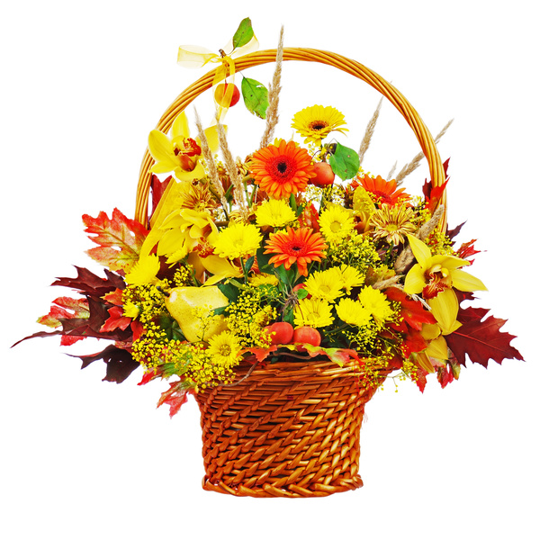Flower baskets with colorful flowers Stock Photo