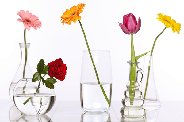 Flowers in glasses of pure water HD picture 02