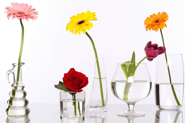 Flowers in glasses of pure water HD picture 03