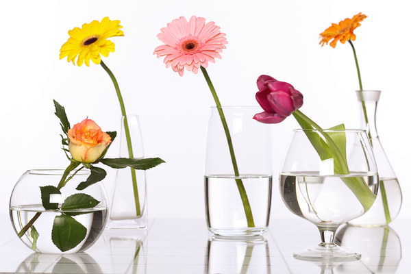 Flowers in glasses of pure water HD picture 04
