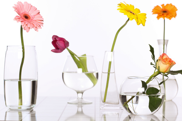 Flowers in glasses of pure water HD picture 05
