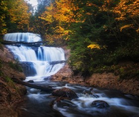 Forest Stream Falls HD picture
