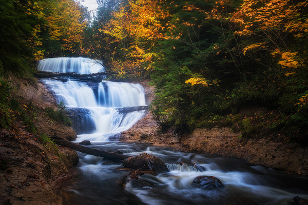 Forest Stream Falls HD picture