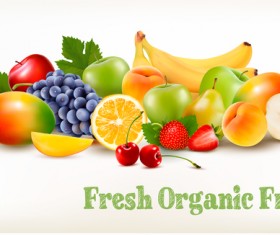 Fresh grganic fruits vector material
