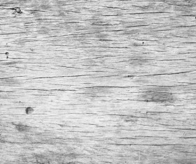 Gray wood texture Stock Photo