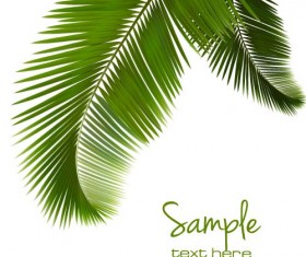 Green palm leaves backgrounds vector 01