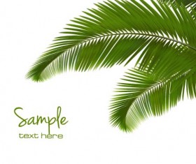 Green palm leaves backgrounds vector 02